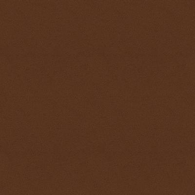 Dulux Duratec Weathered Steel Flat powder coat colour swatch