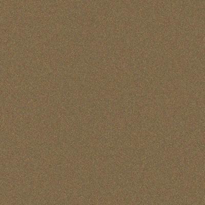 Dulux Electro Sensational Champagne Kinetic Flat powder coat colour swatch