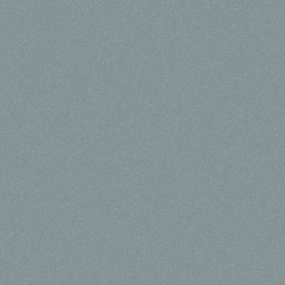 Dulux Duratec Silver Flat powder coat colour swatch