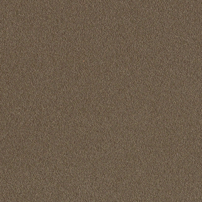 Dulux Duratec Raw Bronze Kinetic® Flat powder coat colour swatch