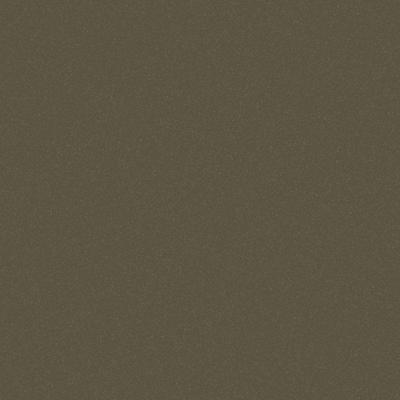 Dulux Electro Aged Brass Kinetic Flat powder coat colour swatch