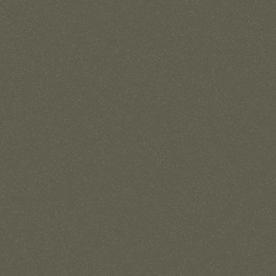 Dulux Electro Pale Bronze Kinetic Flat powder coat colour swatch