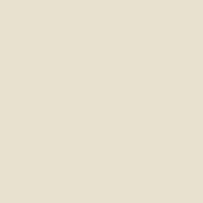 Dulux Duratec Off White Matt powder coat colour swatch