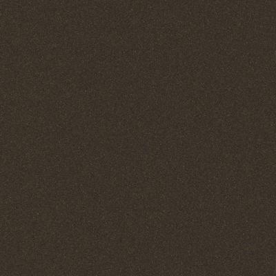 Dulux Electro Dark Bronze Kinetic Flat powder coat colour swatch